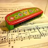 Djeco Animambo Muzikinis instrumentas - Armonikėlė ( DJ06011 )