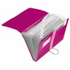 Herlitz Failas A4, Rausvas (11217114)