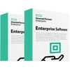 Hewlett Packard (HP) HPE Aruba MC-VA-10 (RW) Cntlr 10 AP E-LTU