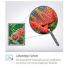 Hewlett Packard (HP) HP Q1956A didelio formato popierius 67,5 m