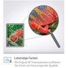 Hewlett Packard (HP) HP 951XL rašalo purpurinė lizdinė plokštelė OJ Pro 8600 8600plus 8100