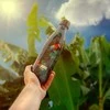 Termo gertuvė Itotal Tropical birds, 500ml