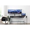 iiyama DS1002C-B1 stalinis plokščiųjų ekranų laikiklis 76,2 cm (30") Gnybtas Juoda