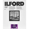 1x 10 Ilford MG RC DL 1M 24x30