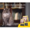 Josera Catelux 400g