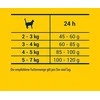 Josera JosiCat Pašaras katėms Crispy antiena 10kg