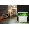 Juwel Rio 240 LED Baltas (VIETOJE)