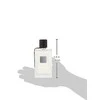 Lalique Les Compositions Parfumees Electrum EDP parfumuotas vanduo Unisex, 100 ml