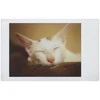 Lomography Lomo'Instant Automat - Bora Bora Baltas