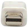 StarTech Manhattan 324557 „DisplayPort“ kabelis 1 m Mini DisplayPort Balta