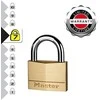 Master Lock Spynelė MasterLock Stand; 70 mm