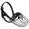 Dino antsnukis metalas - 4a Collie