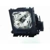 Lempa MicroLamp Pakeitimas į Optoma, 195W (ML12730)