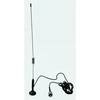 Albrecht Ministar 27 - 31 cm - 30 mm - 30 mm