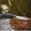 Morakniv peilis Companion MG