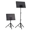 Mozos Muzikos kelionė / Laiškas MTune natų