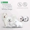 NATURE'S PROTECTION SUPERIOR CARE Baltas Dogs begrūdis su balta žuvimi Adult Small and Mini Breeds, suaugusių mažų ir labai mažų veislių šunų begrūdis sausas pašaras su balta žuvimi, 10 kg