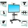 TV laikiklis ant ratų NB AVA1500-60-1P 32-75"