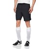 Nike M Dry Ref Šortai M AA0737-010 Futbolo Šortai