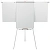 Magnetinis Nobo Flipchart Shark