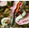 Kišeninis peilis Opinel Carbon Nr.12