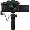 Panasonic Lumix G GH5 II (DC-GH5M2L) + Panasonic LEICA DG VARIO-ELMARIT 12-60mm / F2.8-4.0 ASPH. / POWER OIS (H-ES12060)