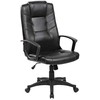 Biuro pirmininkė Office Products Korsikos juodieji