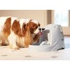 Petsafe Drinkwell Platinum 5L talpos girdykla – fontanas katėms ir šunims