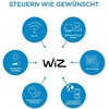 WIZ WI-FI BLE 60W G125 E27 927-65 CL 1PF/6