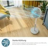 Ventiliatorius Philips 2000 Series | CX2550/00 | Stand Fan | 50 W | Diameter 40 cm | Greičių skaičius 3 | Oscillation | Baltas
