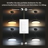 Pakabinamas šviestuvas Philips Hue Enrave juodas pendant