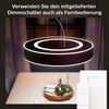 Pakabinamas šviestuvas Philips Hue Enrave juodas pendant