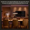 Pakabinamas šviestuvas Philips Hue Enrave juodas pendant