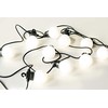 Platinet lempučių grandinė POLWM10B LED 3m