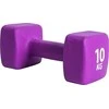 Pure2Improve | Dumbbells | 8.173 kg | Oranžinis | 2 pcs | 4kg