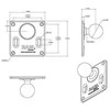 Ram Mounts Tvirtina RAM 3 5/8" SQ. 75 MIL. VESA BASE SU KAMULU