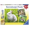 Ravensburger Dėlionė 3x49 vnt. - Zuikiai