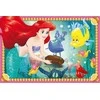 Dėlionė „Ravensburger Cube“ galvosūkis „Disney Princess“.