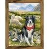 Border Collie siuvinėjimo rinkinys iš RIOLIS Nr.: 1767