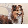 Sheltie siuvinėjimo rinkinys iš RIOLIS Nr.: 1710