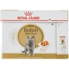 FBN Cat British Short Gravy 12x85 g