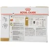FBN Cat British Short Gravy 12x85 g