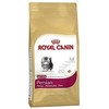 Royal Canin Persian Kitten 400g