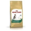 Royal Canin Maine Coon Kitten 4kg