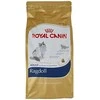 Royal Canin Ragdoll 2kg