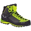 „Salewa Crow GTX“ batai