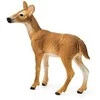 Schleich figūrėlė Baltauodegio elnio patelė