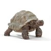 Schleich figūrėlė Galapagų vėžlys