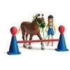 Schleich ponių įgūdžių lavinimo figūrėlė