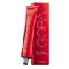 Schwarzkopf Igora Royal ilgalaikio poveikio plaukų dažai 60 ml - 9,5-22